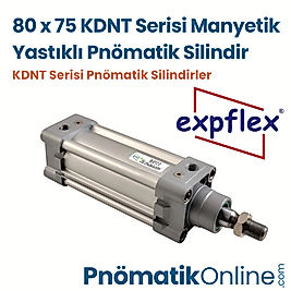 Expflex KDNT 80x75 Manyetik Yastıklı Pnömatik Silindir