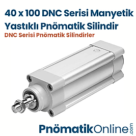 40x100 Manyetik Yastıklı Pnömatik Silindir