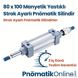 80x100 Strok Ayarlı Pnömatik Silindir
