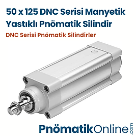 50x125 Manyetik Yastıklı Pnömatik Silindir
