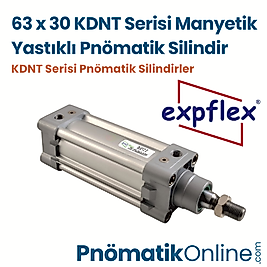 Expflex KDNT 63x30 Manyetik Yastıklı Pnömatik Silindir