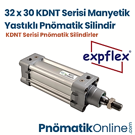 Expflex KDNT 32x30 Manyetik Yastıklı Pnömatik Silindir