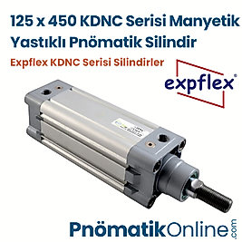 Expflex KDNC 125x450-S Manyetik Yastıklı Pnömatik Silindir