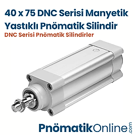 40x75 Manyetik Yastıklı Pnömatik Silindir