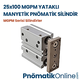 25x100 MGPM Yataklı Manyetik Pnömatik Silindir