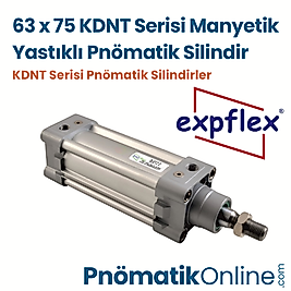 Expflex KDNT 63x75 Manyetik Yastıklı Pnömatik Silindir