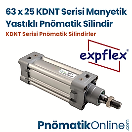 Expflex KDNT 63x25 Manyetik Yastıklı Pnömatik Silindir