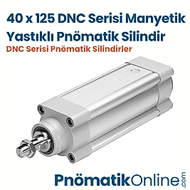 40x125 Manyetik Yastıklı Pnömatik Silindir