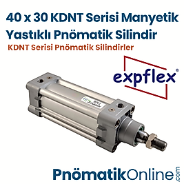 Expflex KDNT 40x30 Manyetik Yastıklı Pnömatik Silindir