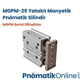 MGPM-25 Yataklı Manyetik Pnömatik Silindir
