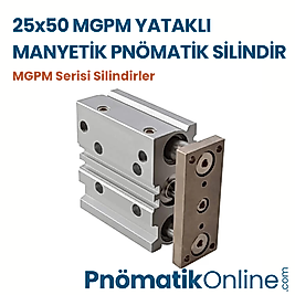 25x50 MGPM Yataklı Manyetik Pnömatik Silindir