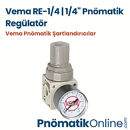 Vema RE-1/4 | 1/4" Pnömatik Regülatör