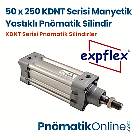 Expflex KDNT 50x250 Manyetik Yastıklı Pnömatik Silindir