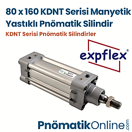 Expflex KDNT 80x160 Manyetik Yastıklı Pnömatik Silindir