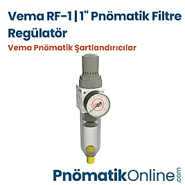 Vema RF-1 | 1" Pnömatik Filtre Regülatör