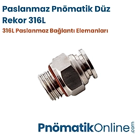 Paslanmaz Pnömatik Düz Rekor 316L