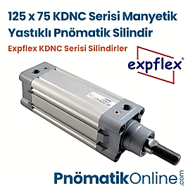 Expflex KDNC 125x75-S Manyetik Yastıklı Pnömatik Silindir