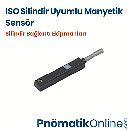 Manyetik Silindir Sensörü