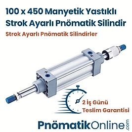 100x450 Strok Ayarlı Pnömatik Silindir