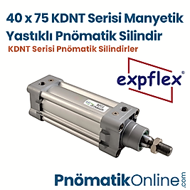 Expflex KDNT 40x75 Manyetik Yastıklı Pnömatik Silindir