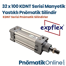 Expflex KDNT 32x100 Manyetik Yastıklı Pnömatik Silindir