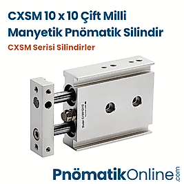 CXSM 10x10 Çift Milli Pnömatik Silindir