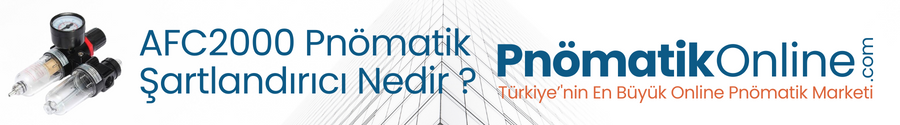 AFC2000 Pnömatik Şartlandırıcı Nedir ? Ne İşe Yarar ?