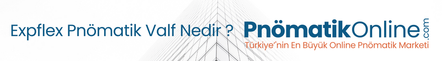 Expflex Pnömatik Valf Nedir ?