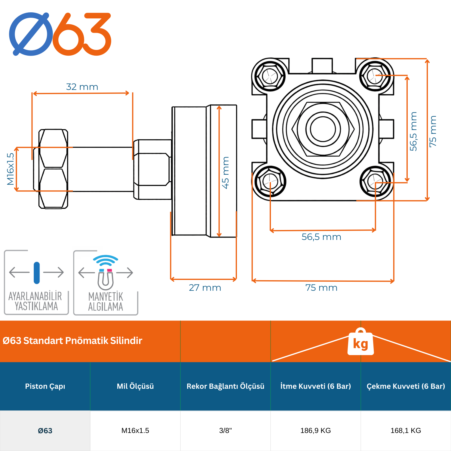 Ø63 Manyetik Yastıklı Pnömatik Silindir