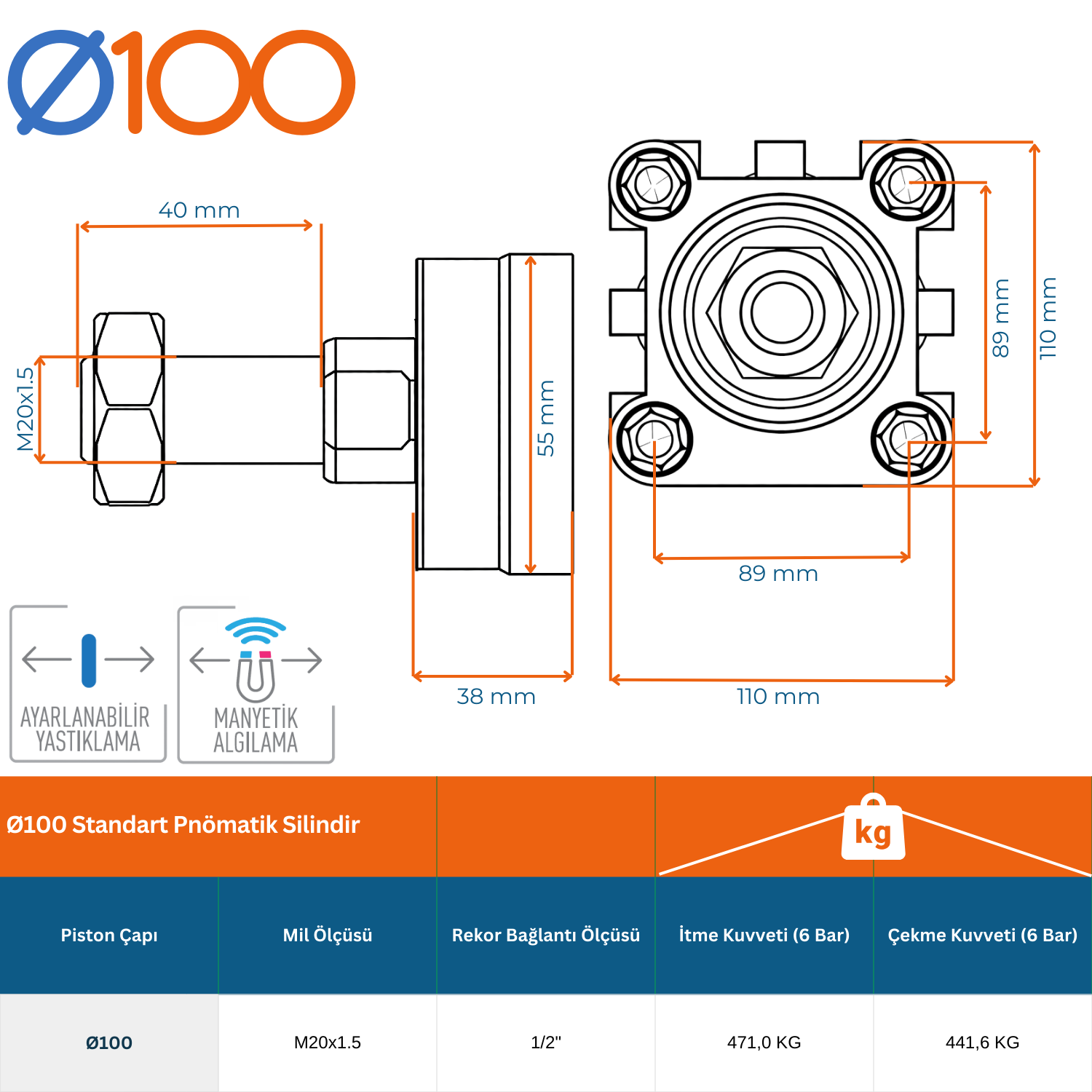 Ø100 Manyetik Yastıklı Pnömatik Silindir