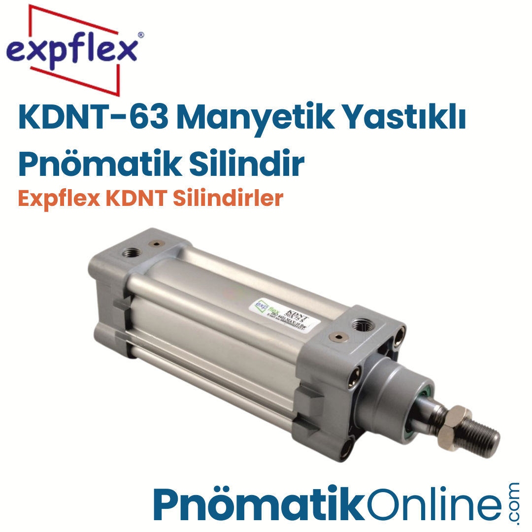 Expflex KDNT-63 Manyetik Yastıklı Pnömatik Silindir