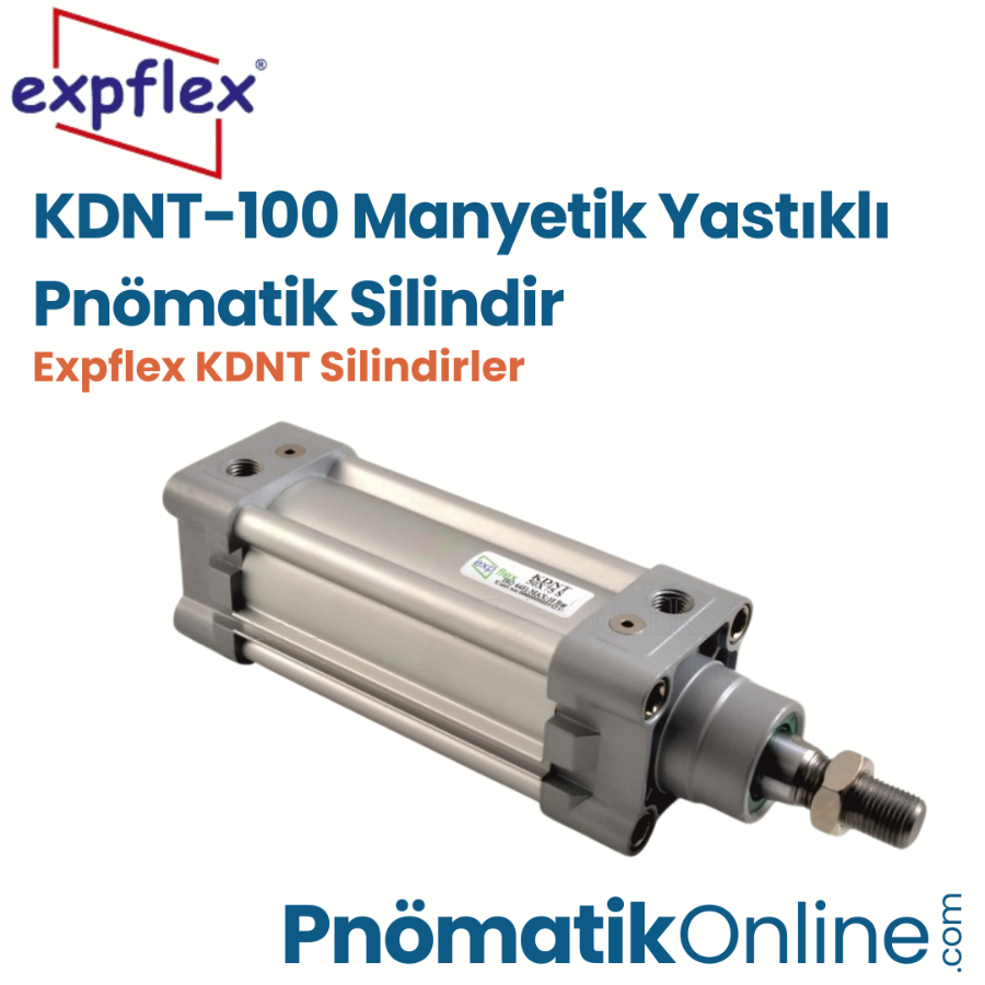 Expflex KDNT-100 Manyetik Yastıklı Pnömatik Silindir
