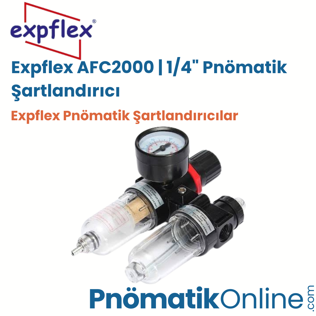 Expflex AFC2000 | 1/4" Pnömatik Şartlandırıcı