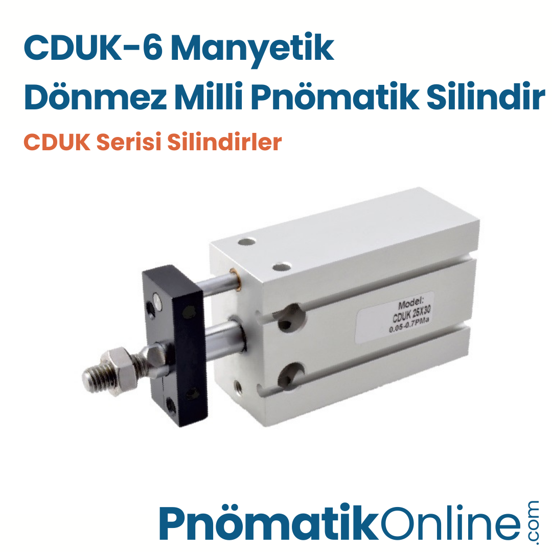 CDUK-6 Manyetik Dönmez Milli Pnömatik Silindir