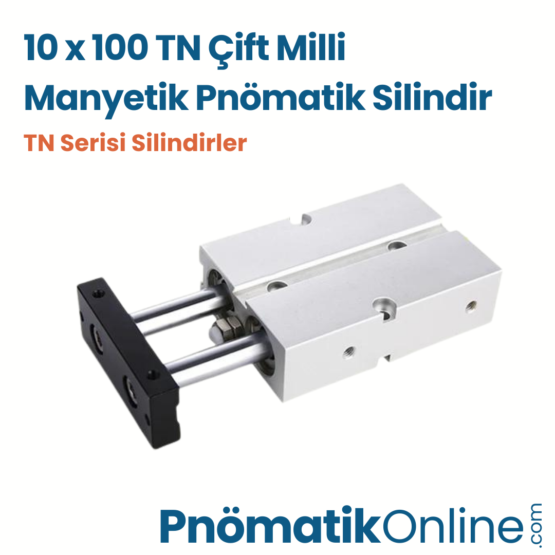 TN 10x100 Çift Milli Manyetik Pnömatik Silindir