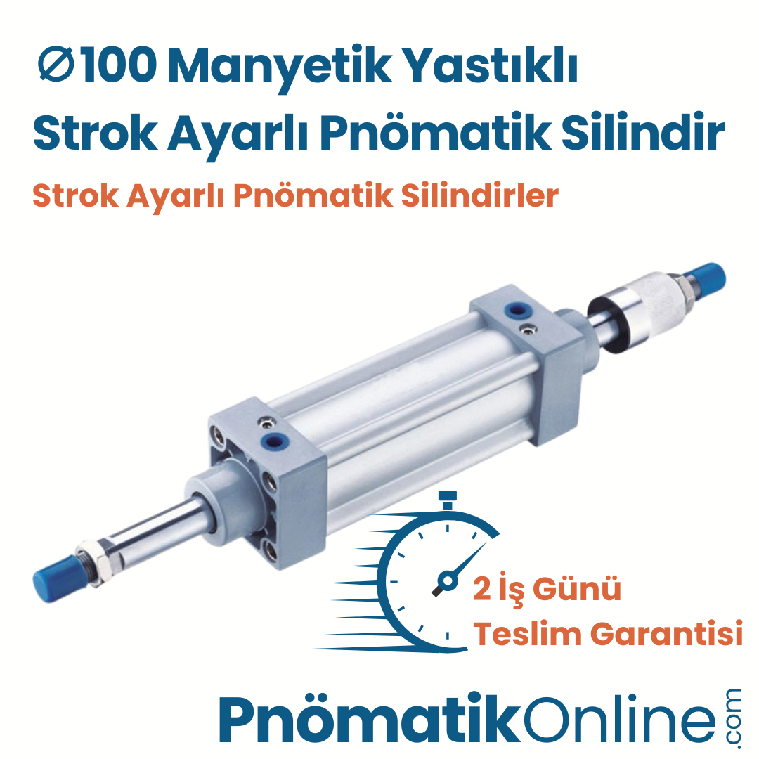 Ø100 Manyetik Yastıklı Strok Ayarlı Pnömatik Silindir