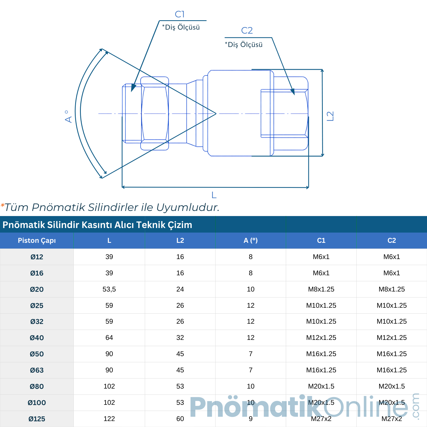 Pnömatik Silindir Kasıntı Alıcı - Piston Merkezleyici
